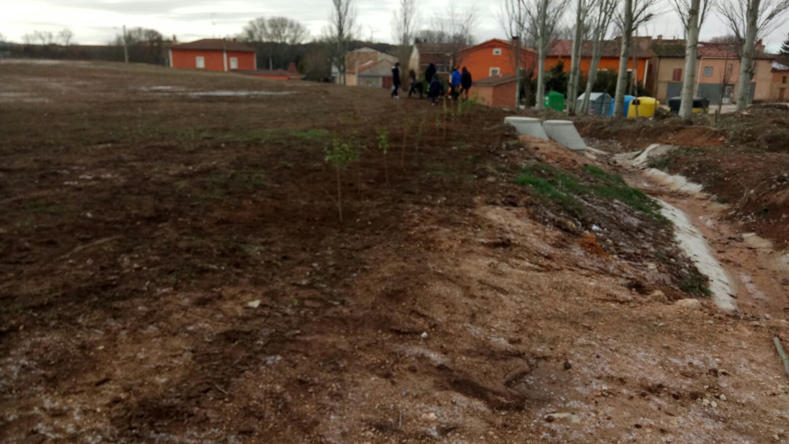 PLANTACION DE LA ERA "ASOCIACIÓN LOS MACHUCHOS"